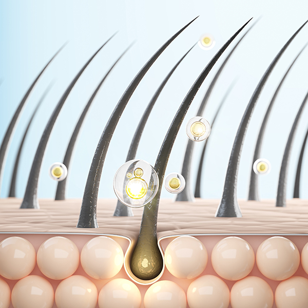 シャンプーの特徴の補修についての写真。